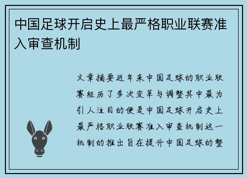 中国足球开启史上最严格职业联赛准入审查机制